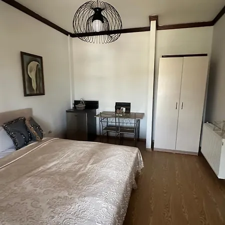 Greek Mansion 네아 모우다니아